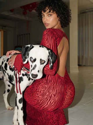 Lariza