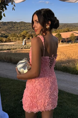Pipa