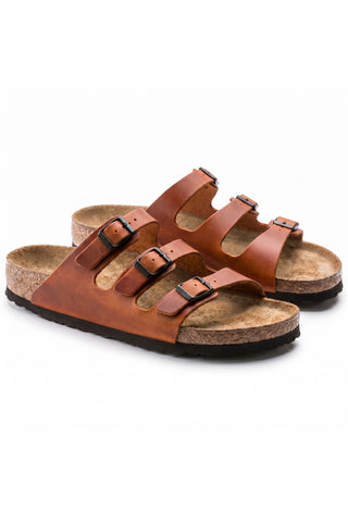 florida-birko-flor-chestnut-1-hero