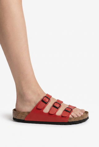 florida-birko-flor-crimson-red-5-onfoot