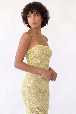 Velia