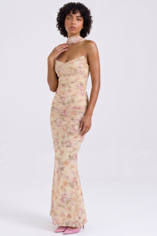 Verity Set
